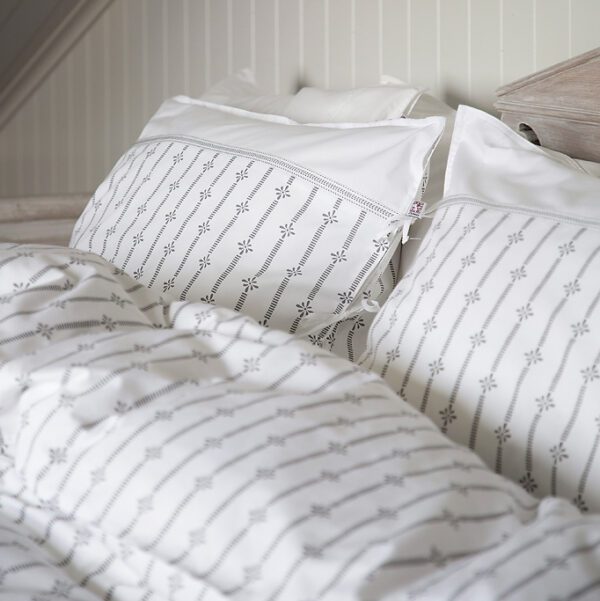 shyness paslakan stripe